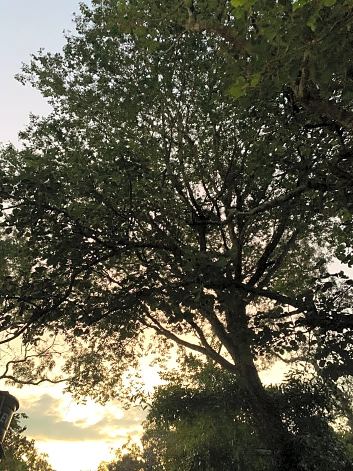 Pousada Cipó Container Chalés Privativos com lareira - Centro da cidade