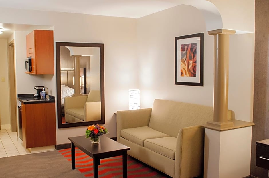 Holiday Inn Express Hotel & Suites Pittsburgh-South Side By IHG