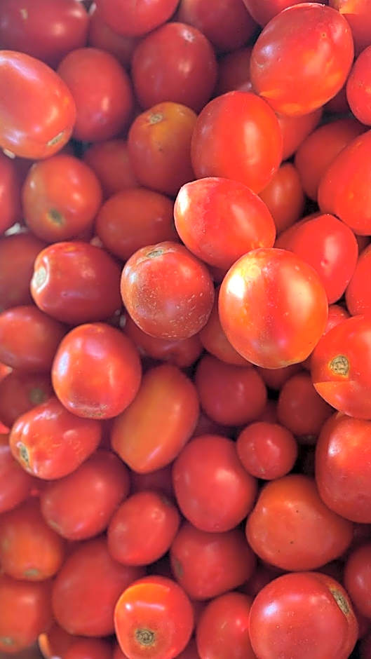 UNA HOTELS Tenuta Contessa Farm & SPA Cosenza