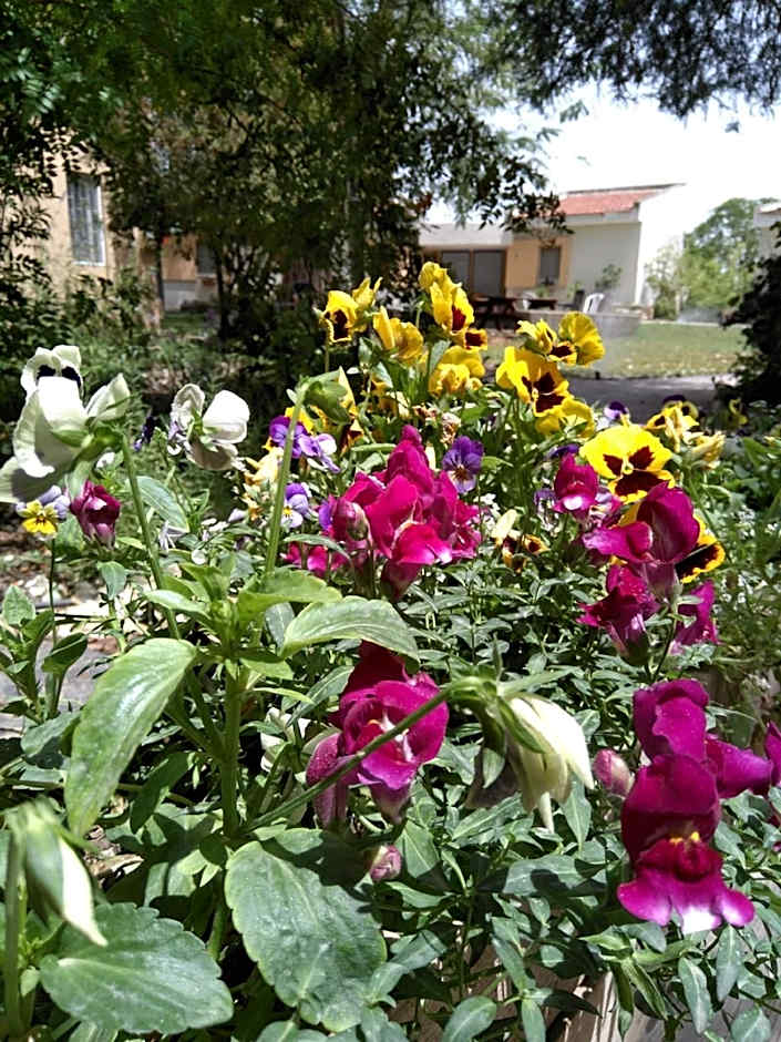 Jordan Valley Birding Lodge