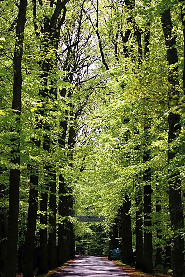 VILA VITA Burghotel Dinklage