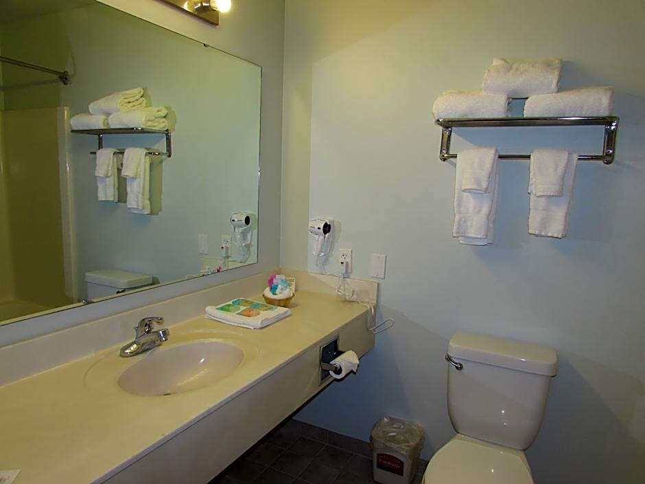 Foto 1 dari 4 — 1 King Bed, Jetted Tub