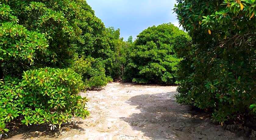 Courtyard Guesthouse