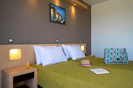 Double or Twin Room with Garden View