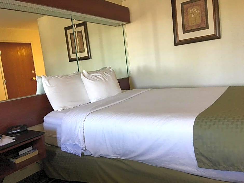 Microtel Inn & Suites By Wyndham Indianapolis Airport