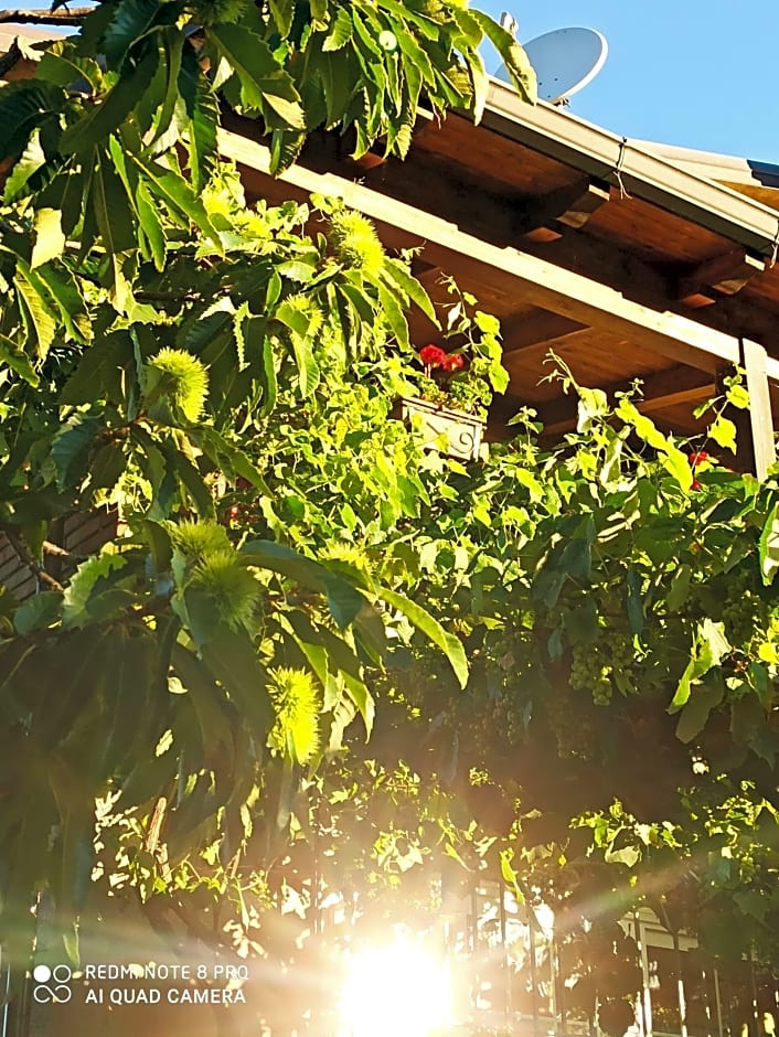 Dolcedorme del Pollino