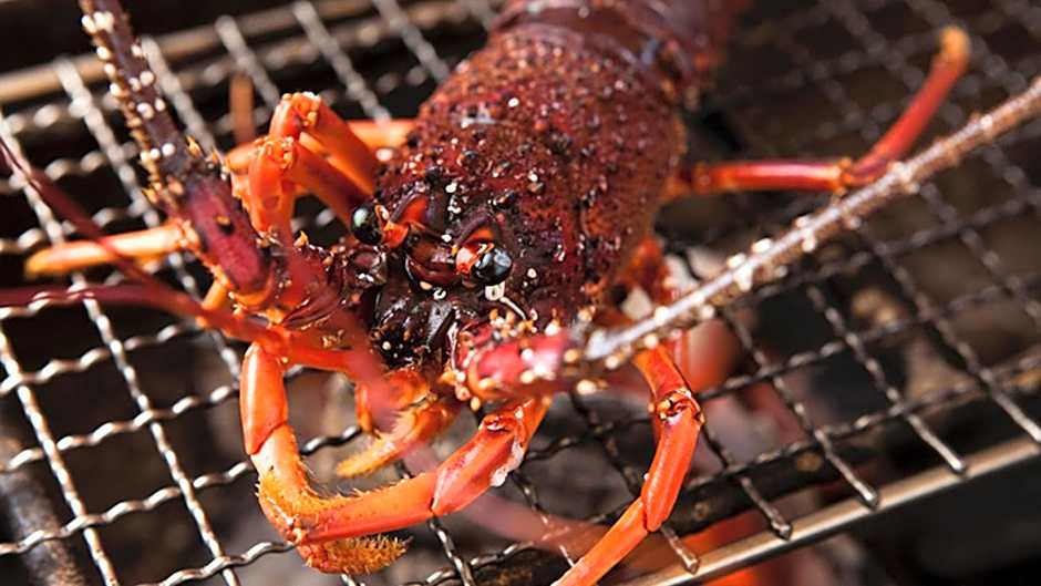 Ryouri no yado Ginrin