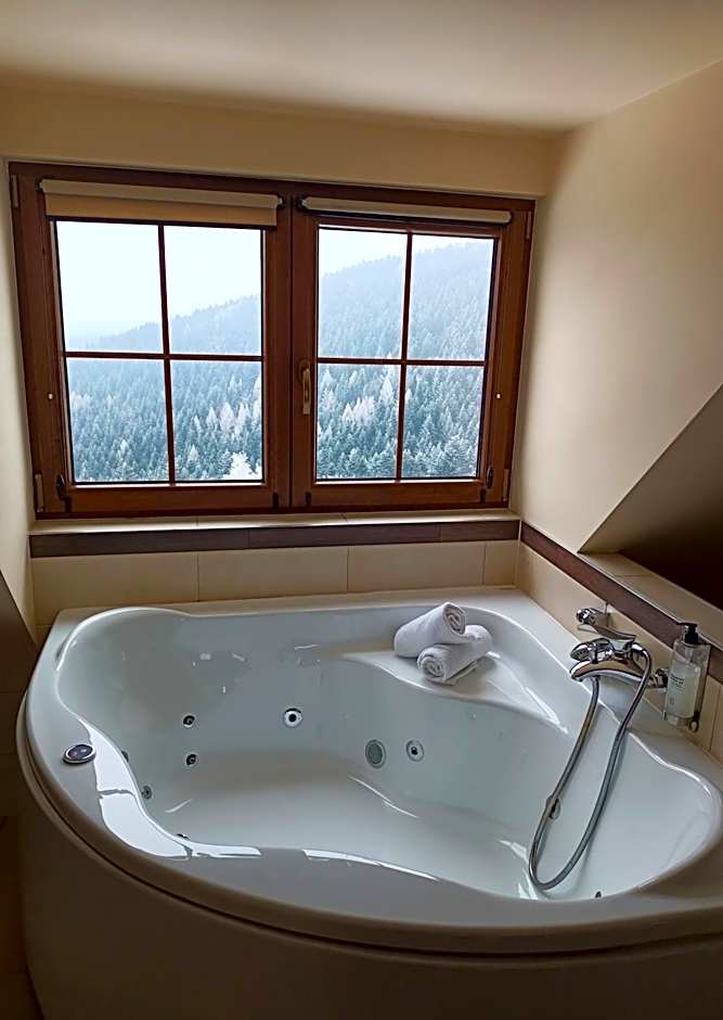 Hotel Beskidzki Raj Medical SPA