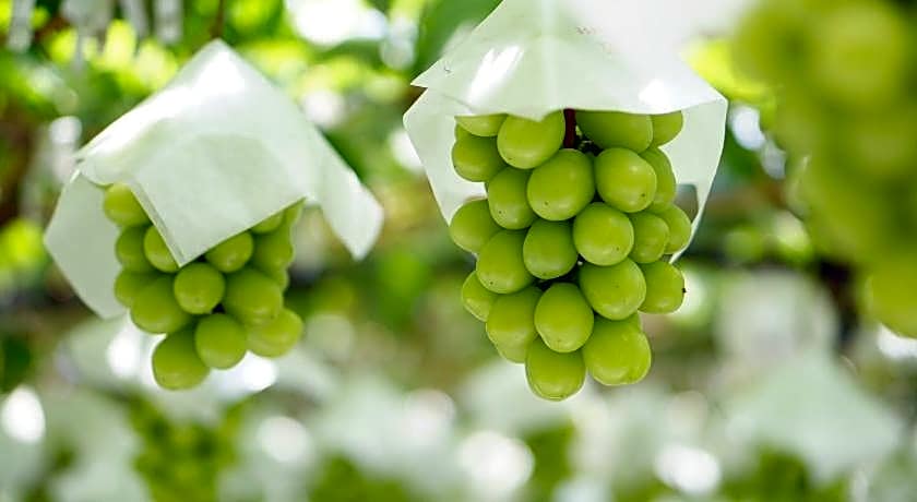 Tabist Hotel Rakuserina