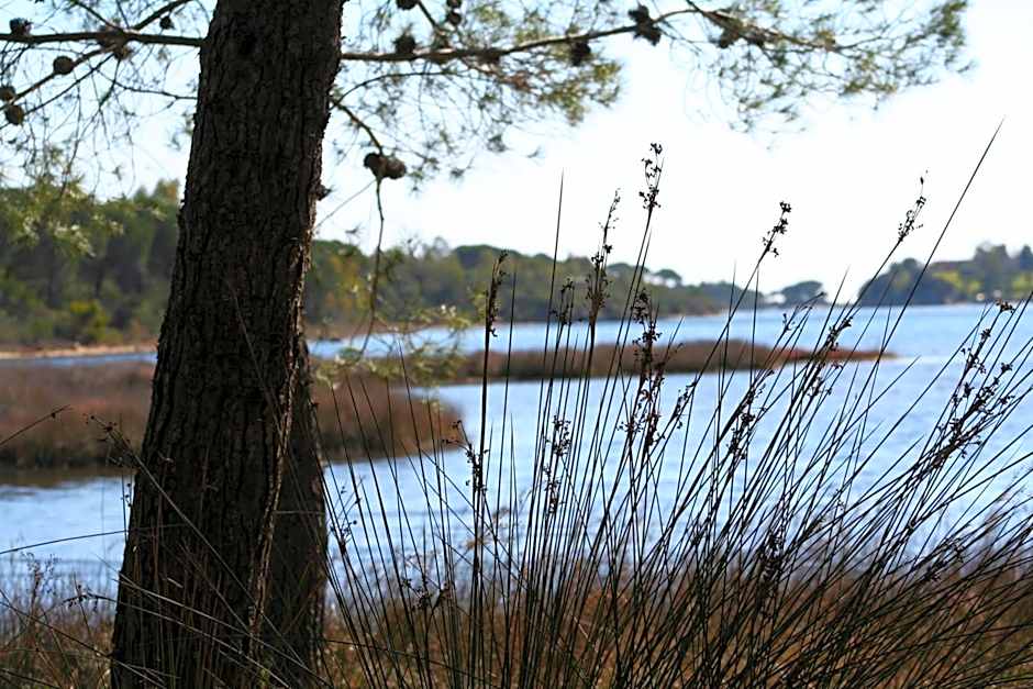 Villa La Conchiglia Rooms