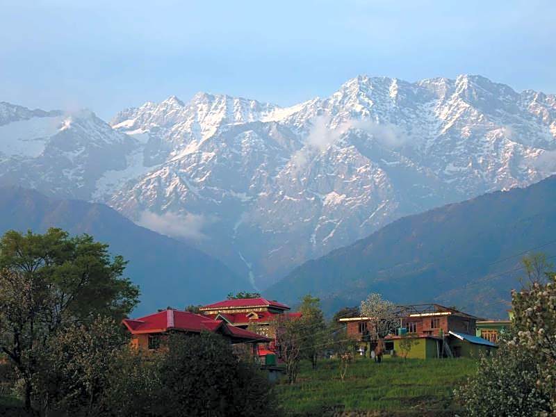 Hotel Seclude Palampur
