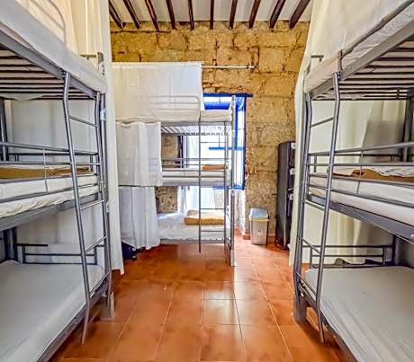 Bunk Bed in Mixed Dormitory Room