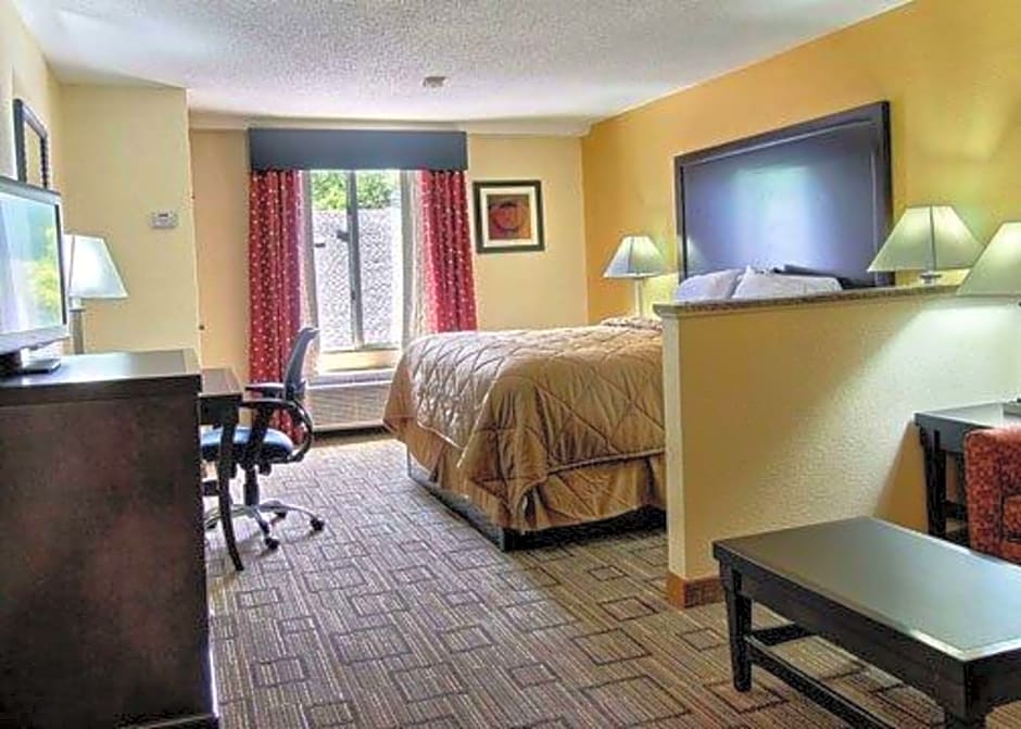 Quality Inn & Suites Greenville near downtown