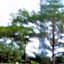 Ascott IFC Guangzhou