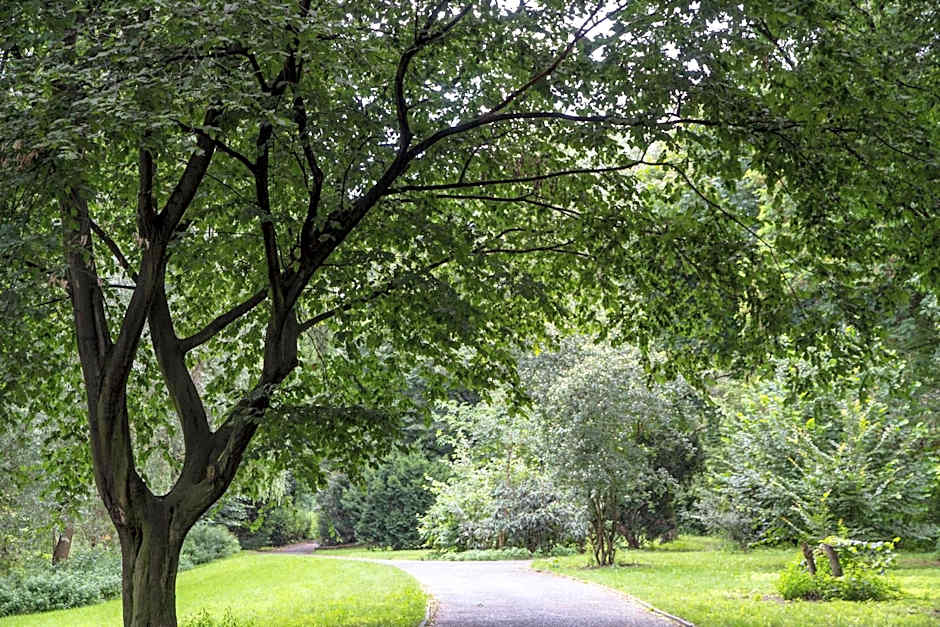 Hotel BIG MAMA Berlin