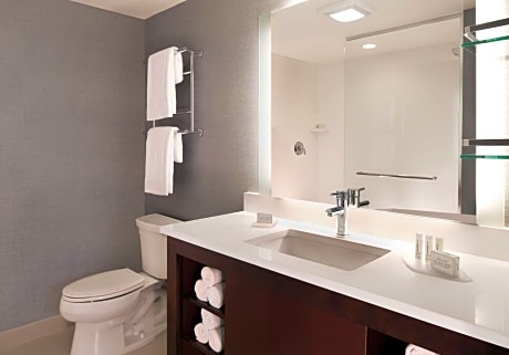 Suite, 1 Bedroom (1 King Bed and 1 Double Sofa Bed)