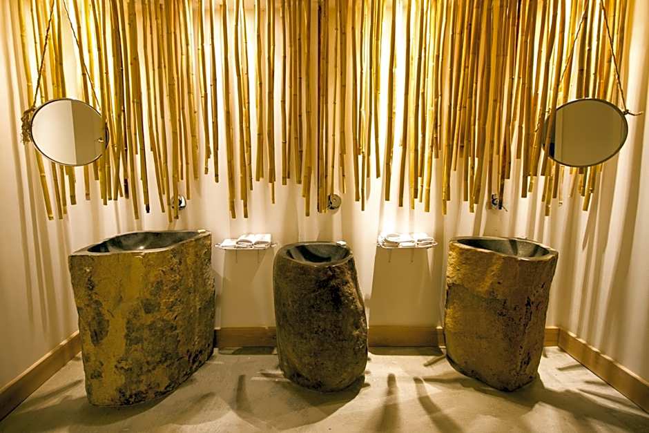 Aelia Wellness Retreat