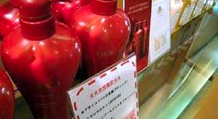 Hotel Fukushima Hills