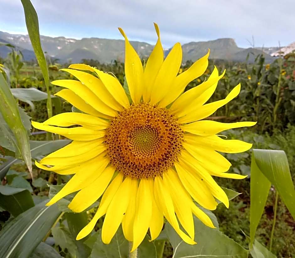 HOSPEDAGEM LA NO SITIO