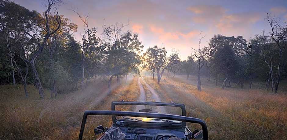 Pench Jungle Camp