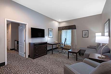 1 King Bed, One-Bedroom Suite, Non-Smoking