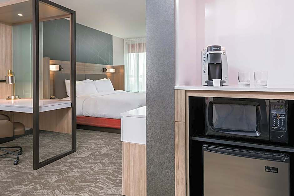 SpringHill Suites by Marriott Lakeland