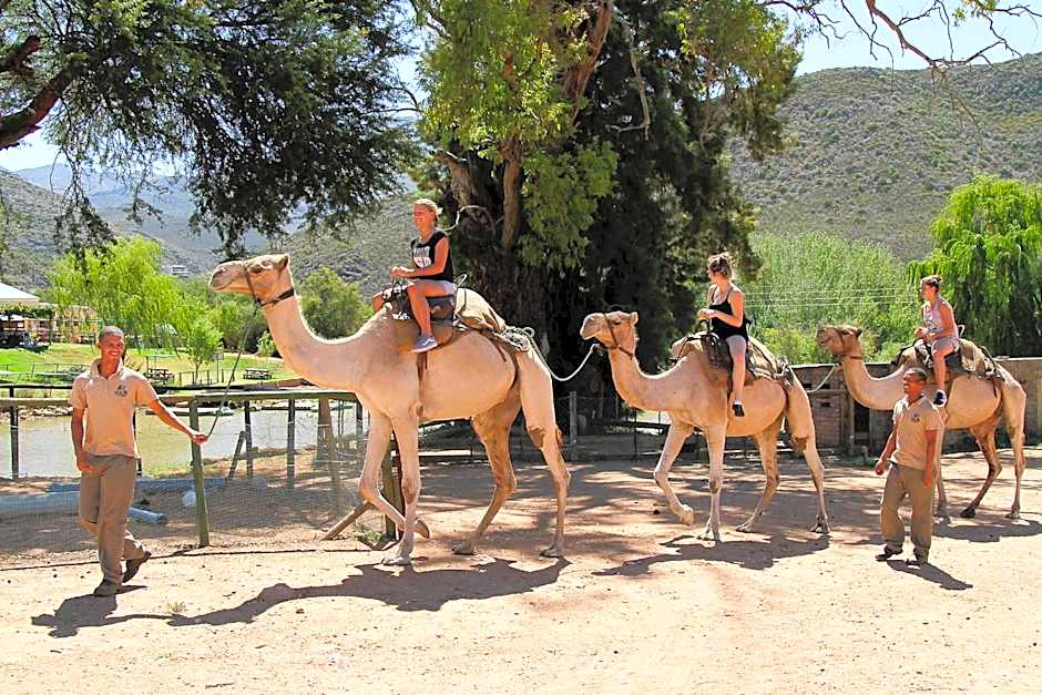 Wilgewandel Holiday Farm & Day Restaurant