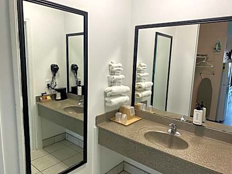 Deluxe Suite with Spa Bath