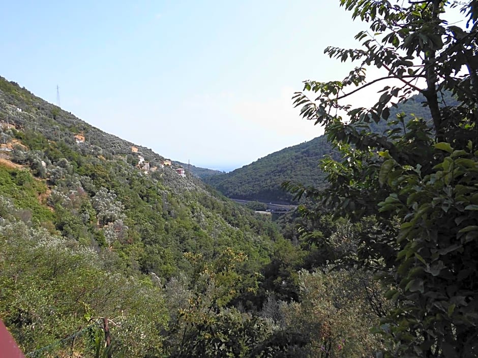 La Margherita di Teriasca