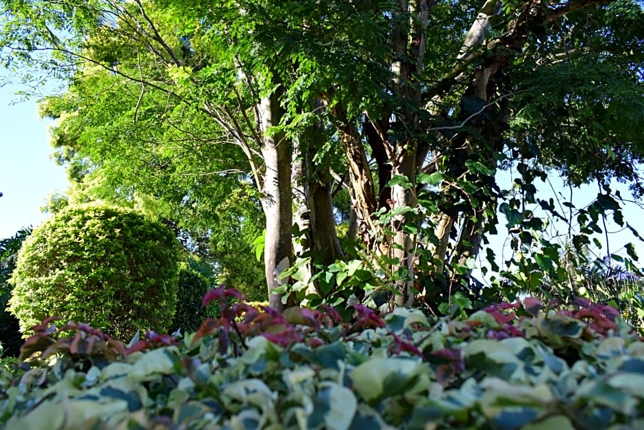 Queenz Bed & Breakfast