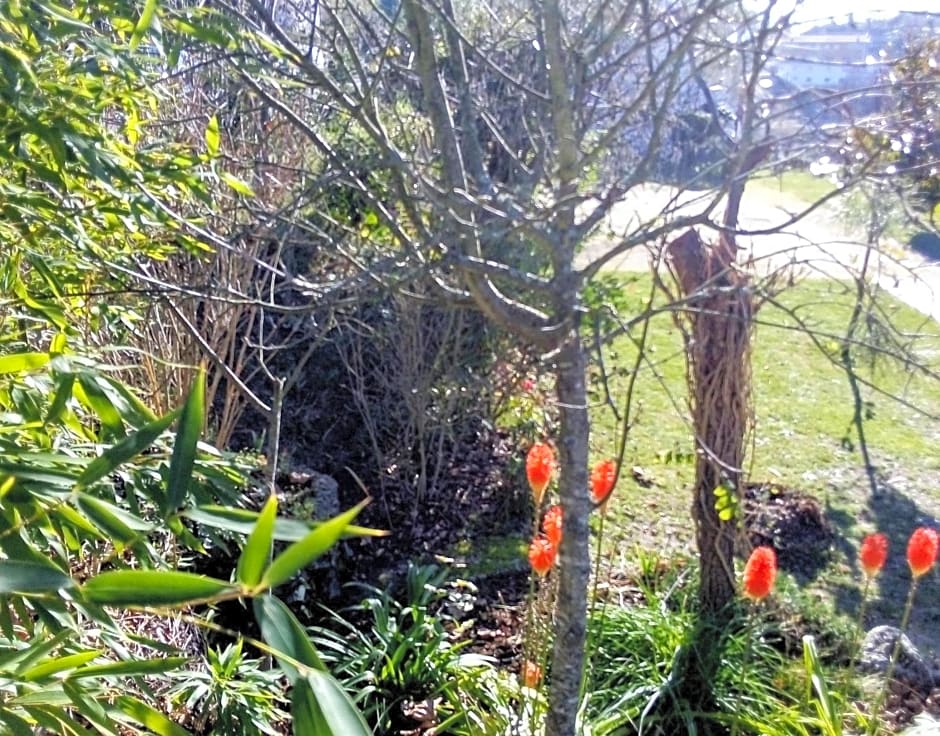 Casa Vale do Rio Ovil