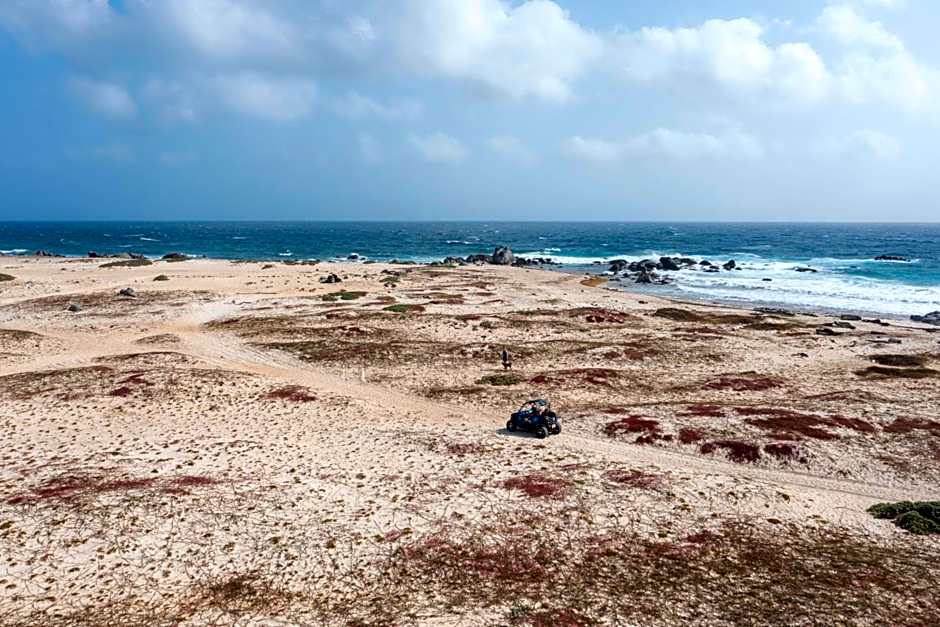 Marriott's Aruba Ocean Club