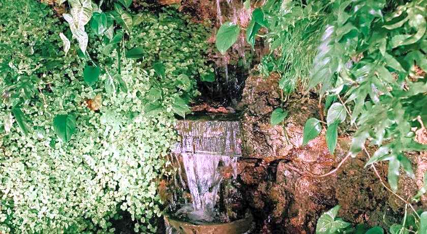 Thunderbird Carrera Hotel & Casino