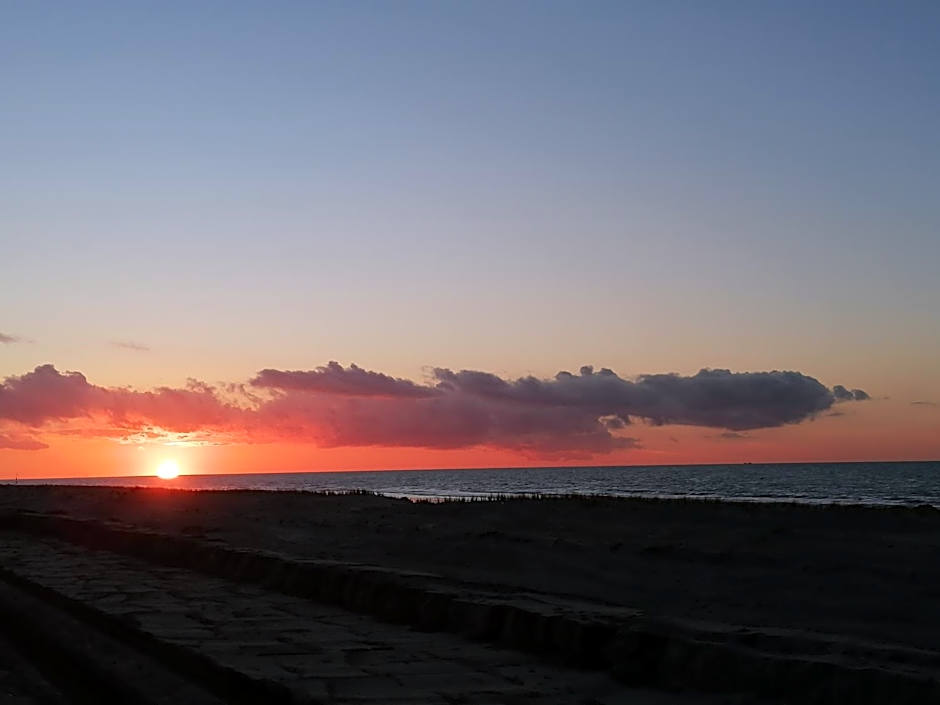 Sea-Me Ostend