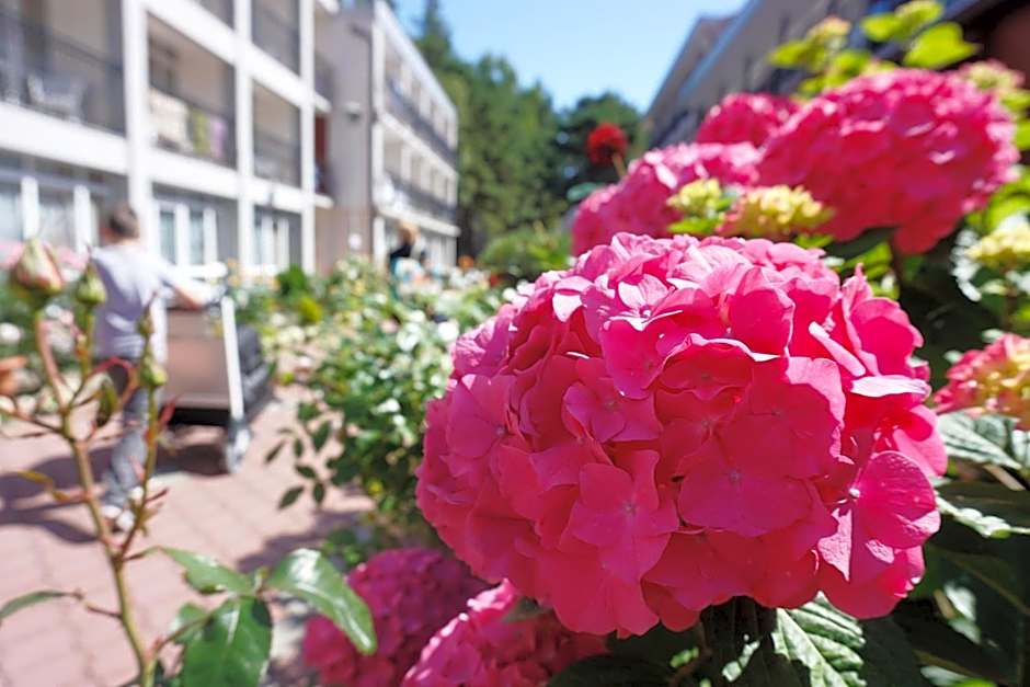 Laguna Kompleks Wypoczynkowo Rekreacyjny