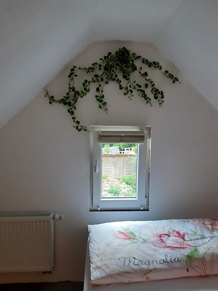 Gästehaus - Café Frank