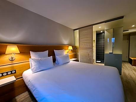 Superior Double or Twin Room  - access to spa included