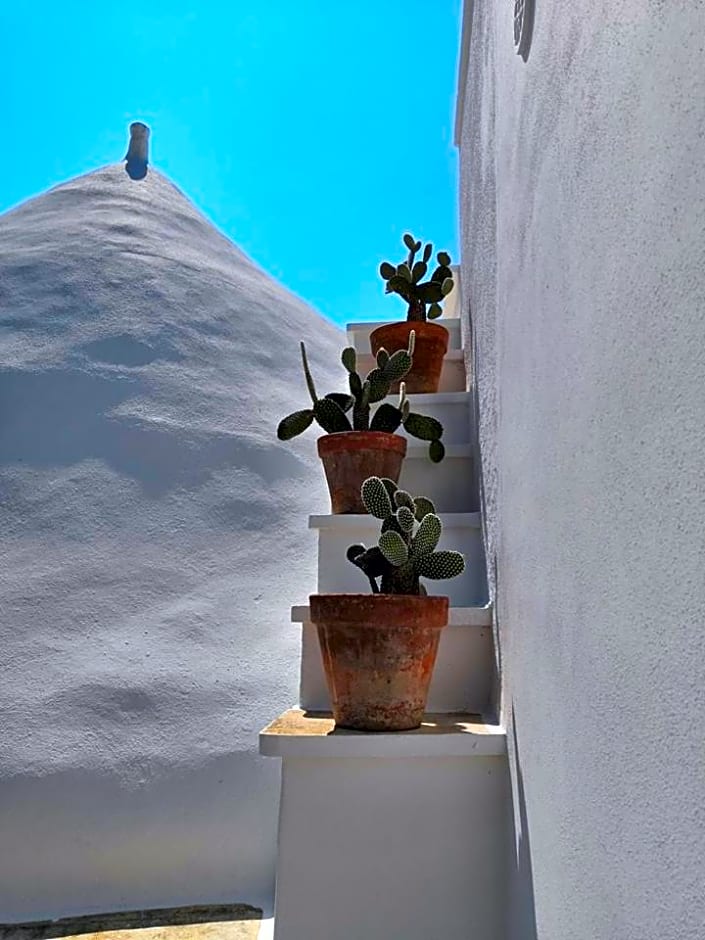 Bed And Breakfast Il Nido – Monopoli, LA