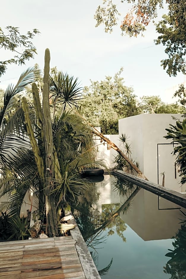 16Tulum