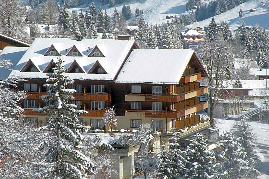 Hotel Steinmattli