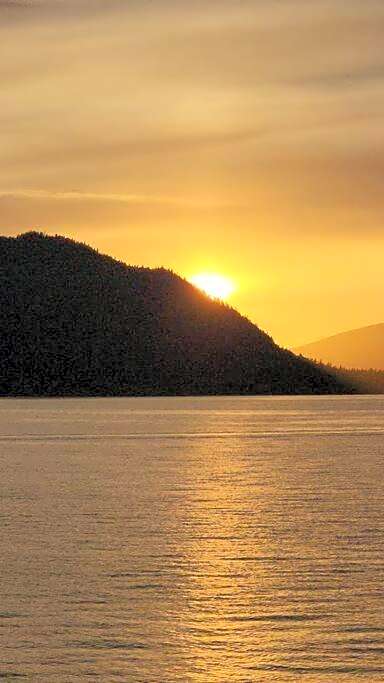 Dream House -Water Lily