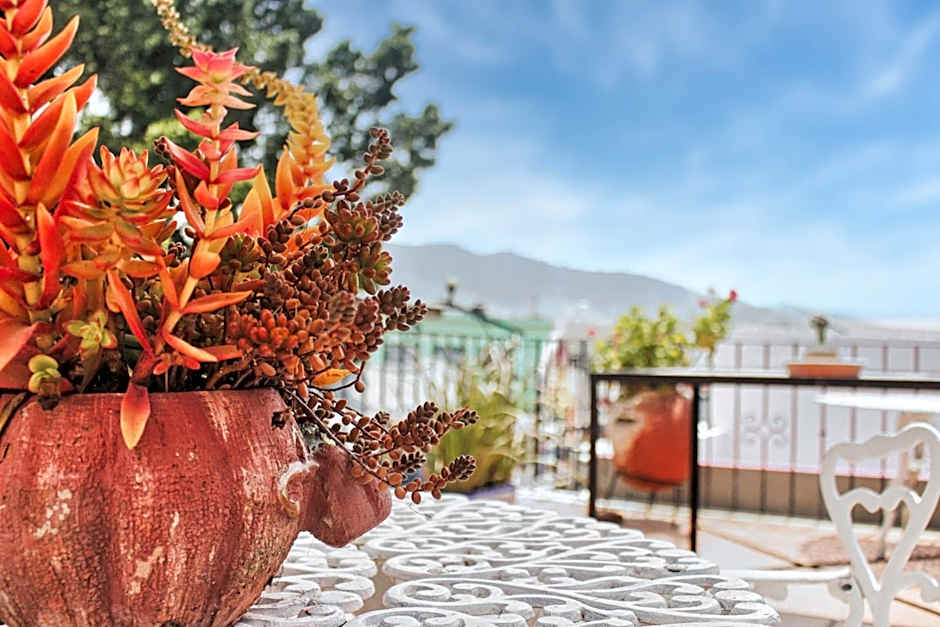Hotel Rosa Mexicano
