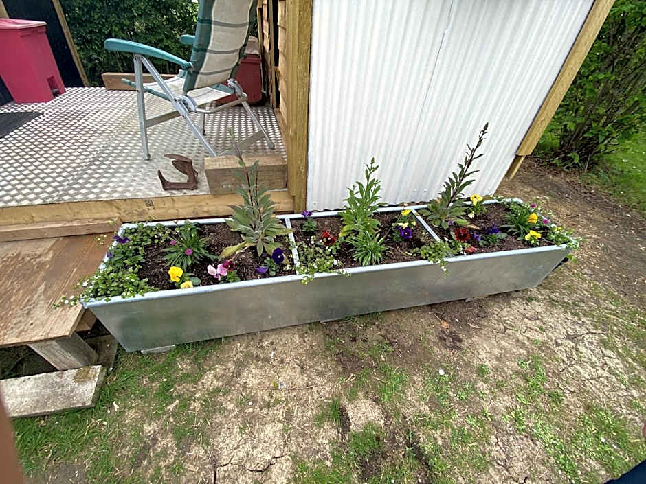 Mr Hares shepherd hut