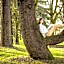 Hotel delle Rose Terme & WellnesSpa