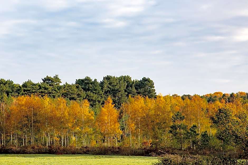 Crowne Plaza East Midlands Airport