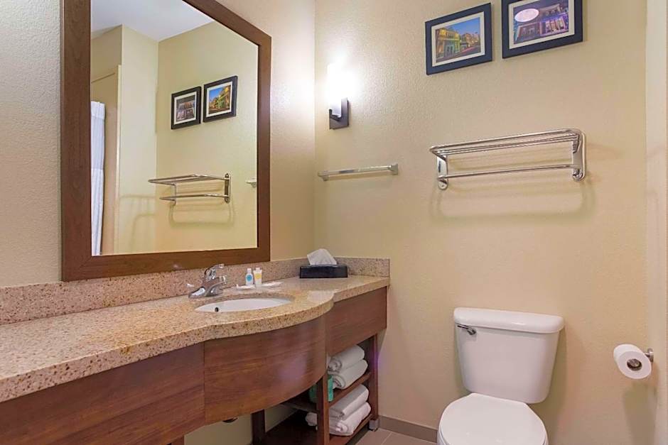 Comfort Suites Saraland - North Mobile
