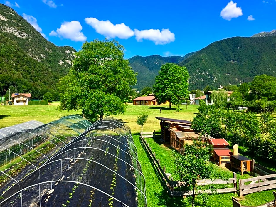 B&B dalla fattoria della Patty