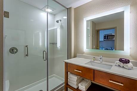 1 Queen Bed Studio Suite