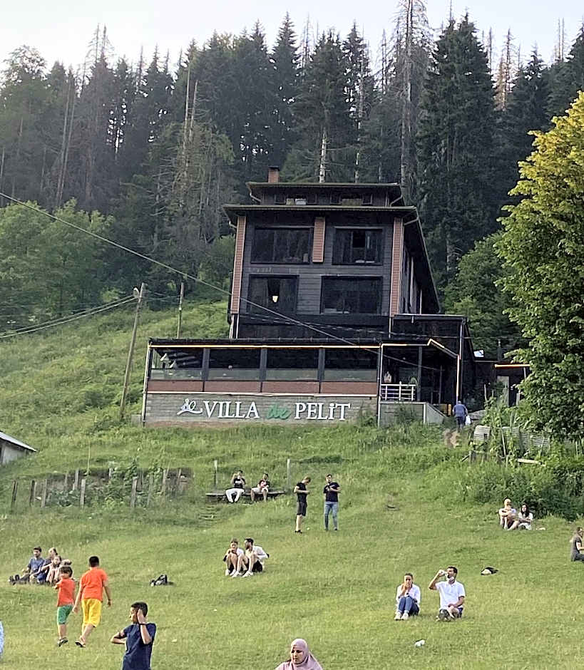 Ayder Villa de Pelit Hotel