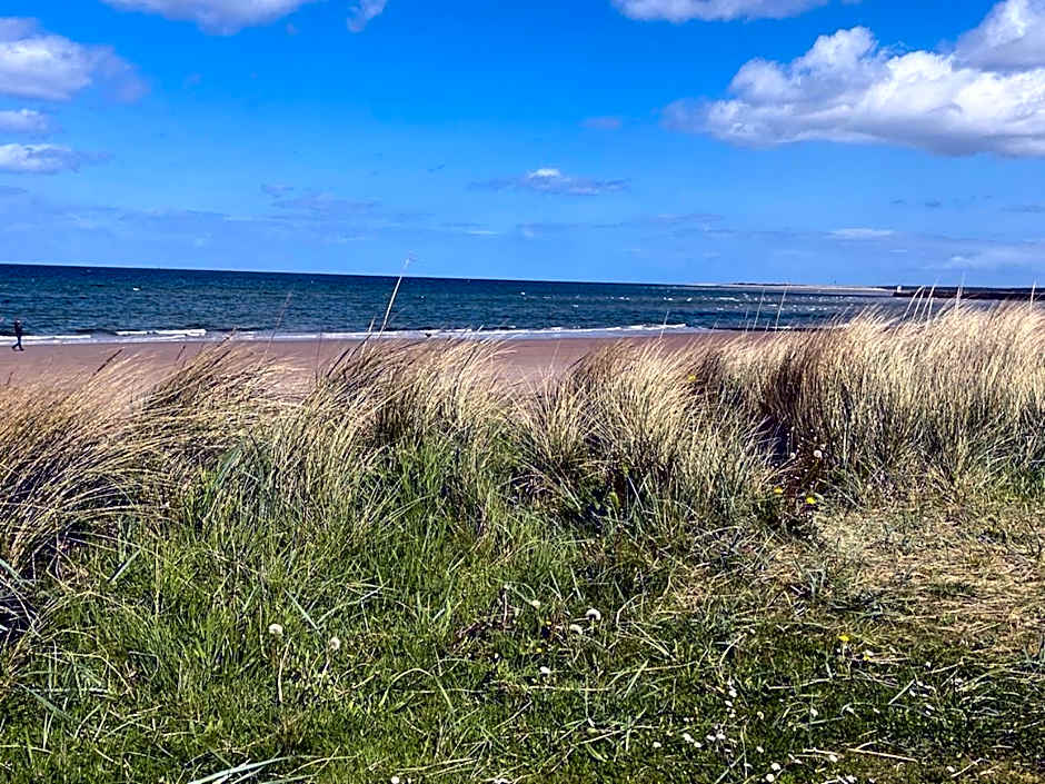 Sunny Brae Bed & Breakfast